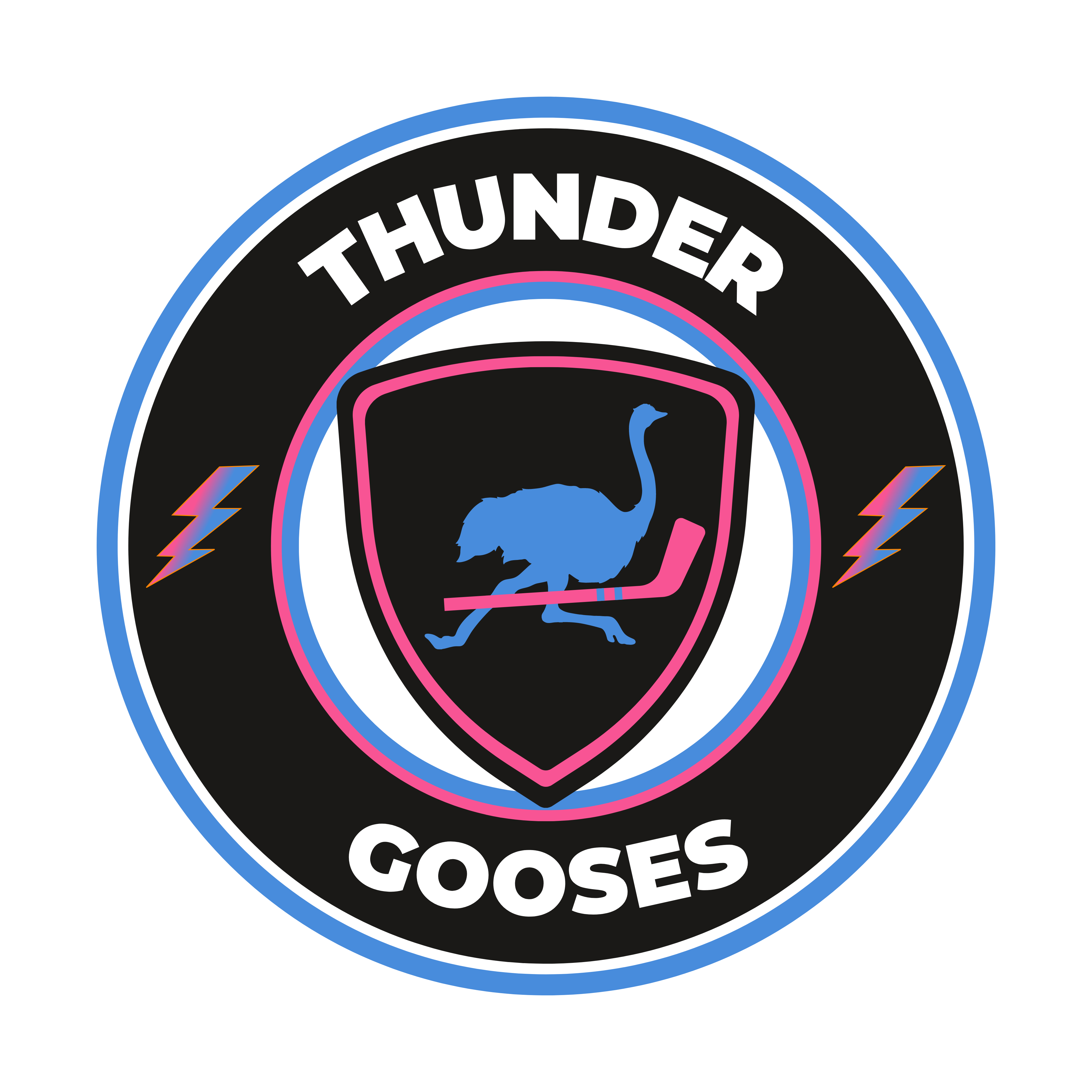 Dallas Stars-HasTech